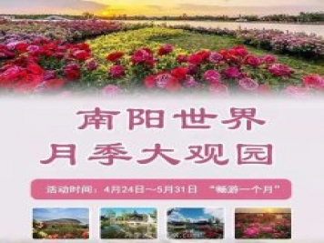 第十二届南阳月季花会4月29日开幕，活动丰富多彩