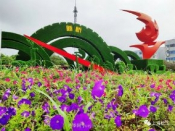 上海松江这里的花坛、花境“上新”啦!特色景观升级!