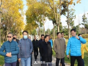 提升城市园林绿化，苏州向上海学什么？